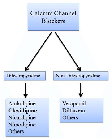 calcium chanel blocker|calcium channel blockers list uk.